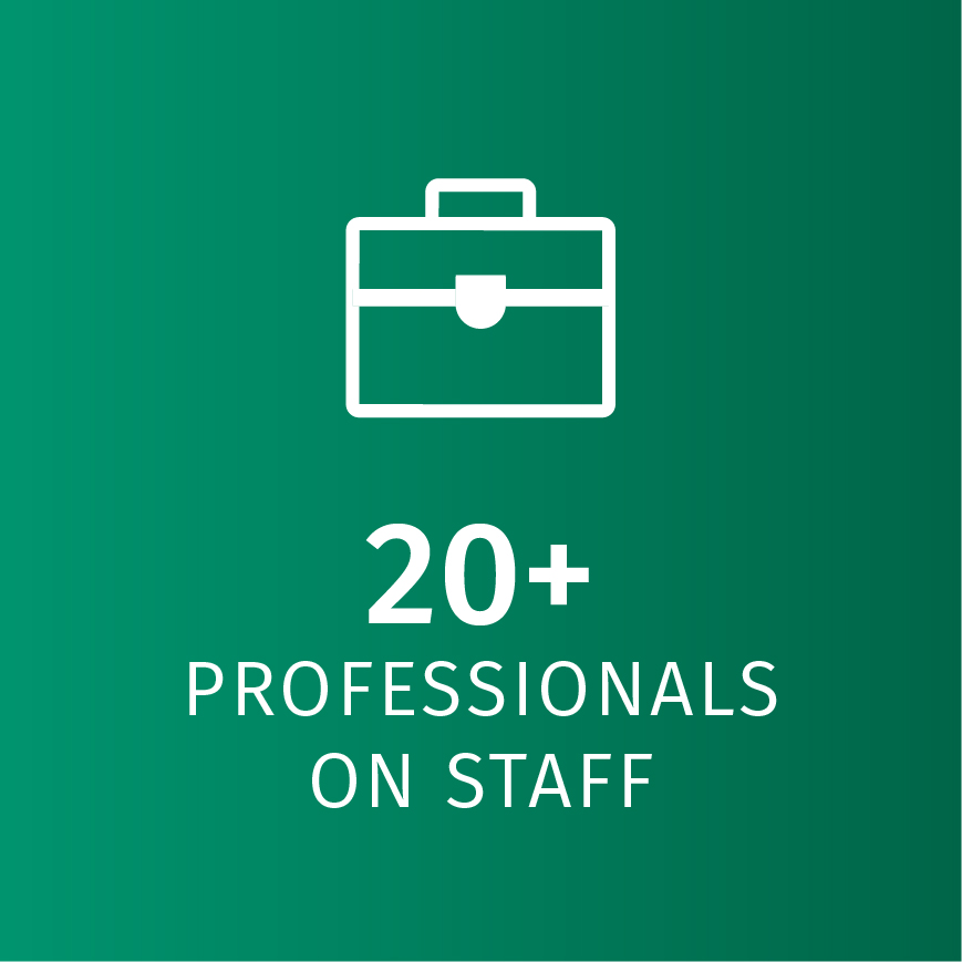20+ professionals on staff